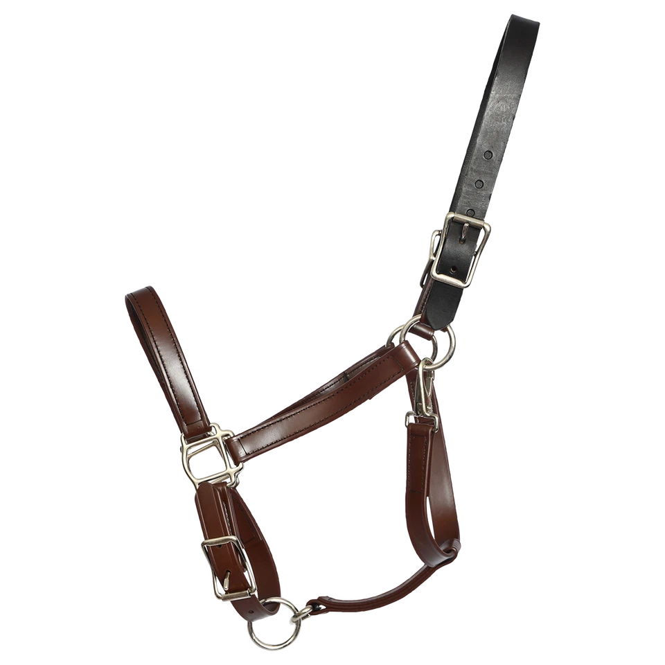 PFERDEGRÖSSE - FERTIG - braunes WEIDEHALFTER aus BETA BIOTHANE - Bild 1 von 1