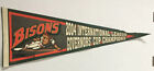 RARE Buffalo Bisons Pennant Full Size 2004 INTL League Governor's Cup Champions