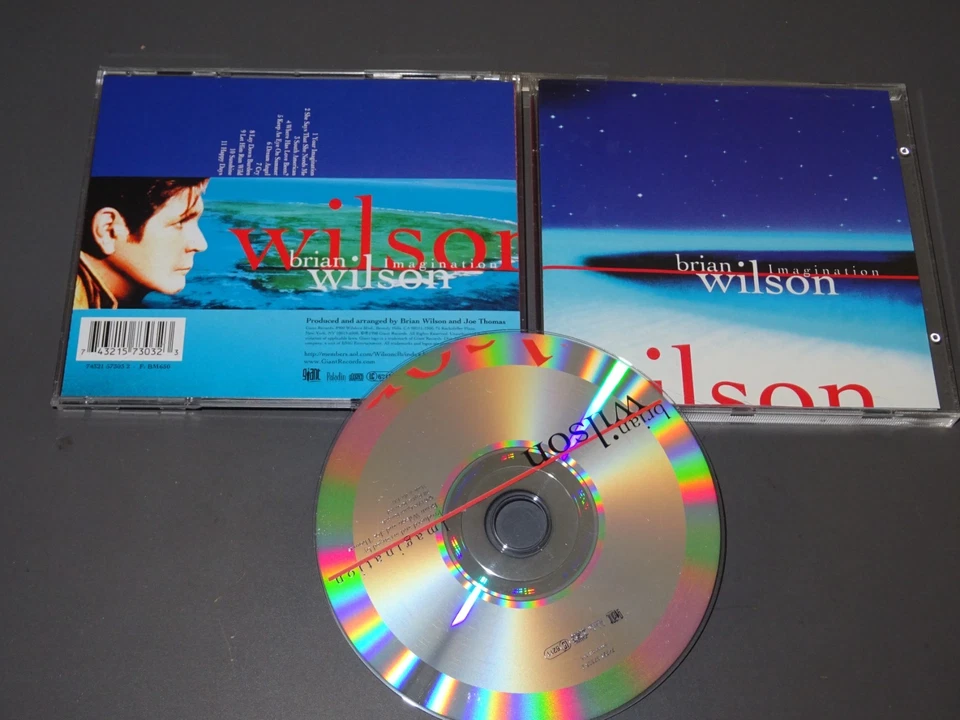 BRIAN WILSON - IMAGINATION / ALBUM-CD 1998 (MINT-) - Bild 1 von 1