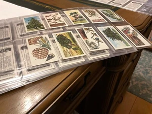 Trees In Britain Full Set By Brooke Bond Tea Black Back - Picture 1 of 2