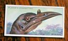 Curious Beaks 1929, ( Birds ),Players Cigarette Cards,Pick The Cards You Require