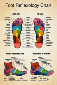 Massage Therapist Foot Reflexology Chart 1 Poster, Vintage Poster - Picture 1 of 5