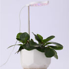 Full Spectrum Led Grow Light Plant Growing Lamp For Indoor Desk Plants Flower Us