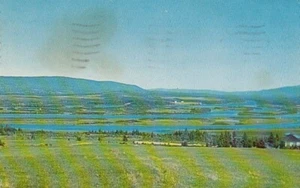 Postal de colección Grand Codroy River Valley Port Aux vascos Terranova Canadá - Imagen 1 de 2