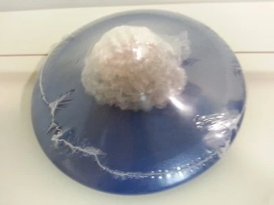 Longaberger Small Pail 2009 Basket Bright Blue Lid Only 5087169 - Image 1 of 4