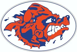 Waterboy Movie Inspired Full Size Football Helmet Decals - Picture 1 of 3
