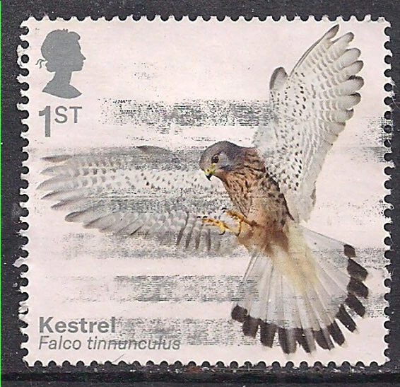 GB 2019 QE2 1st Birds of Prey ' Kestrel ' used SG 4205 ( L1339 ) - Image 1 of 1