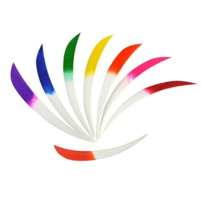 30pcs Archery 5'' Arrow Fletches Natural Turkey Feathers Right Wing DIY Bow Hunt - Image 1 of 4