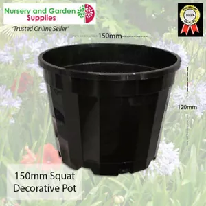 150mm Decorative SQUAT Plant Pot - QTY-50 - glossy black & fluted sides - Picture 1 of 3