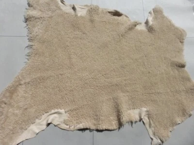 sheepskin shearling leather XL hide Natural Dense Tight Curly Hair w/suede back - Image 1 of 4