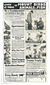 Print Ad Northwestern School of Taxidermy Free Book 1935 1/3-Page Advertisement - Picture 1 of 4