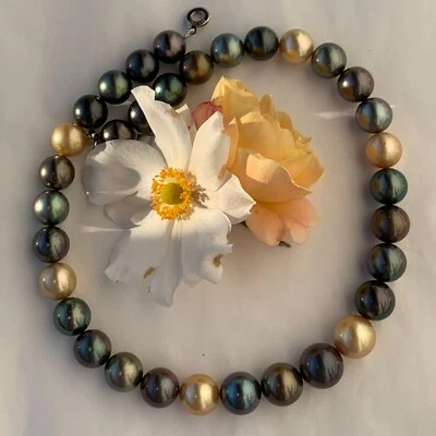 Tahiti Zuchtperl Collier 12-15 mm multicolor AAA+-AAA rund Lüster Oberfläche Far - Bild 1 von 3
