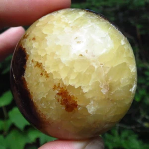 SEPTARIAN POLISHED CONFIDENCE GROUNDING PROTECTION CRYSTAL PALMSTONE MADAGASCAR - Picture 1 of 10