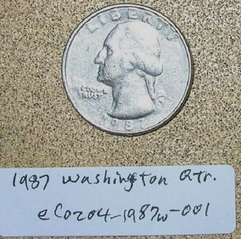 1987 Washington Quarter Faint Lettering & Die Chip Errors; Rare Old Coin Money Cover