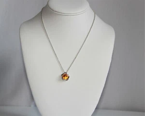 Gorgeous Fossilized Amber Pendant and Sterling Silver 18” Chain Necklace - Picture 1 of 8