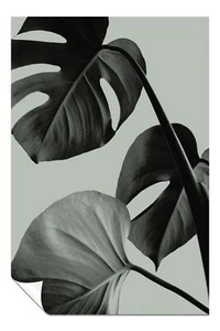 Teal Monstera Leaves Artistic Poster Wall Art Home Decor - Picture 1 of 4