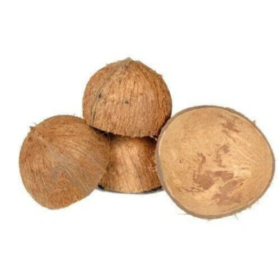 Mitades de cáscara de coco ecológicas 100 % orgánicas cuencos decorativos Ceilán hechos a mano Foto 1 de 3