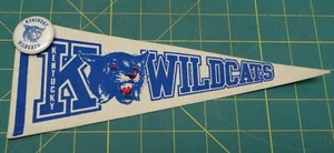 Vintage 10" Kentucky Wildcats Lexington Banner with Pin - Picture 1 of 4