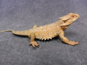 CollectA Nip * Bearded Dragon Lizard * 88567 Wildlife Pogona Model Toy Figurine