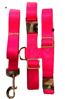 Pig Harness Heavy Duty Metal Buckle With Leash All sizes Carter Pet Supply
