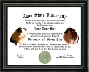 Diploma de Doctorado de Amante de CONEJILLO DE INDIAS / Grado Personalizado Diseñado para USTED - Imagen 1 de 2