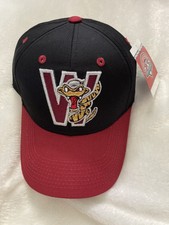 Youth Wisconsin Timber Rattlers MILB Adjustable Baseball Hat Cap Retro Vintage