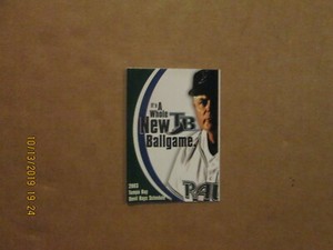 MLB Tampa Bay Devil Rays Vintage Circa 2003 Team Logo Baseball Pocket Schedule