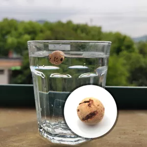 20PCS Floats cork Ball Bean Fishing Lure Floating Bottom Hair Rig Fishing Bait - Bild 1 von 13