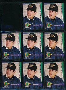 lot (8) 1995 Choice 49 Juan Nieves Norwich Navigators Player Lot (DL38) SWSW6