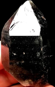 36 g Natural Negro AHUMADO Esquelético Elestial Cuarzo Punta de Cristal y Fantasma s569 - Imagen 1 de 6