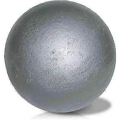Nelco Scholastic Iron Shot Put - 8lbs, One Size