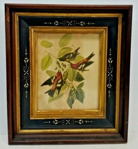 Antique Frame Birds Perched on Branches Offset Lithograph - Picture 1 of 5