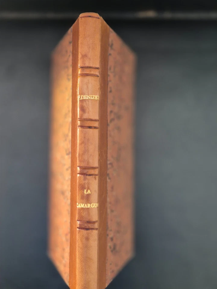 LA CAMARGUE - SON PASSÉ - SON AVENIR - F. DENIZET (1881) - - Photo 1/3