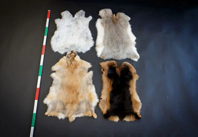 Gegerbte Kaninchenfelle | Fell Pelz Echtfell Kaninpelz Kaninchen Kaninchenpelz - Bild 1 von 3