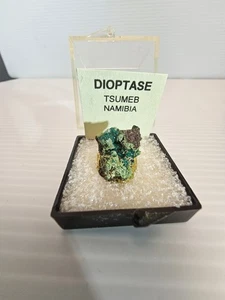 Dioptase, Tsumeb Mine, Namibia Crystal Mineral Specimen  - Picture 1 of 7