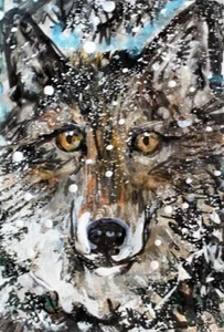 ORIGINAL ACEO grauer WOLF Gemälde Winter Schnee Wild Hund Tier Baum Natur KUNST - Bild 1 von 1