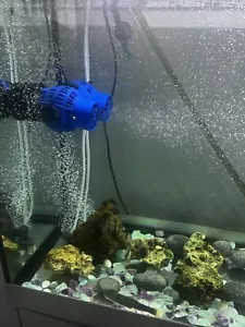 Aquarium - Bild 1 von 10