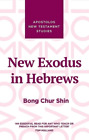 Bong Chur Shin New Exodus In Hebrews Relie