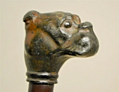 Raro Antiguo Bulldog o Boxer Metal y Bambú Bastón o Puntero de Aula Cir: 1900 Foto 1 de 4
