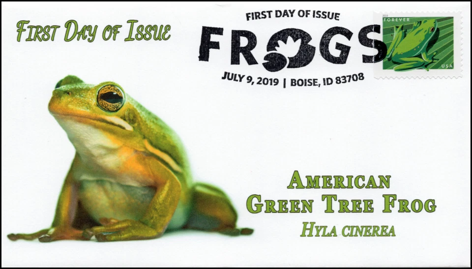 19-177, 2019, Frogs, Pictorial Postmark, First Day Cover, American Green Tree Fr - Image 1 of 1