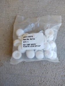 WHITE PLASTIC LOCK UP CAP  1/8IP OPEN PKG - QTY 24 ITEM # 95/125 - Picture 1 of 1