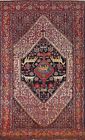 Pre-1900 Antique Vegetable Dye Senneh Tribal Area Rug Hand-knotted Oriental 5x8