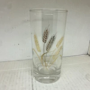 Homer Laughlin Golden Wheat 8 Oz. Drinking Glass 5.5" Tall Replacements - Picture 1 of 5