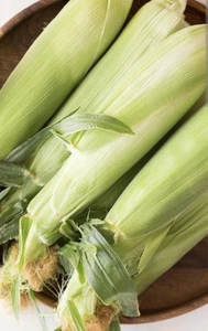 FRESH CORN IN HASK 5 PIECES - Picture 1 of 1