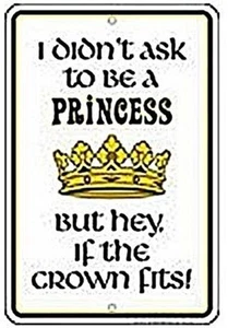 I didn't ask to be a Princess .... funny aluminium sign  305mm x 205mm REDUCED!! - Picture 1 of 1