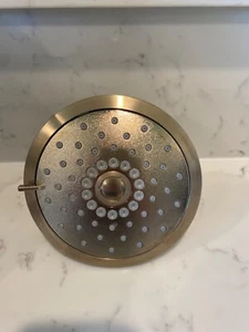 Kohler 22169-BV Forte Showerhead, 1.75 GPM, Brushed Bronze - Picture 1 of 4
