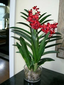 Faux Floral Arrangement Red Vanda Orchid In Round Clear Glass Vase w/ Moss - Picture 1 of 8