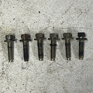 1998 Ford 4.6L E150 OEM Rear Main Seal Bolts - Picture 1 of 2