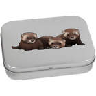 Baby Ferrets Metal Hinged Tin  Storage Box Tt035553
