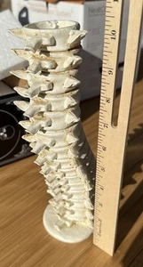 Harry Potter Litjoy Crate Vertebrae Spine Candle Holder *READ - Picture 1 of 13